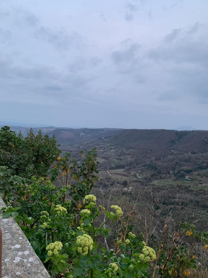 Il Vento E La Ginestra Apartment Bagnoregio Exterior photo